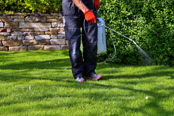 Best Pest Control for Multi-Family Homes  in Plumsteadville, PA